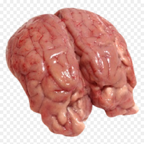 Goat Brain - UmarsHalal.com